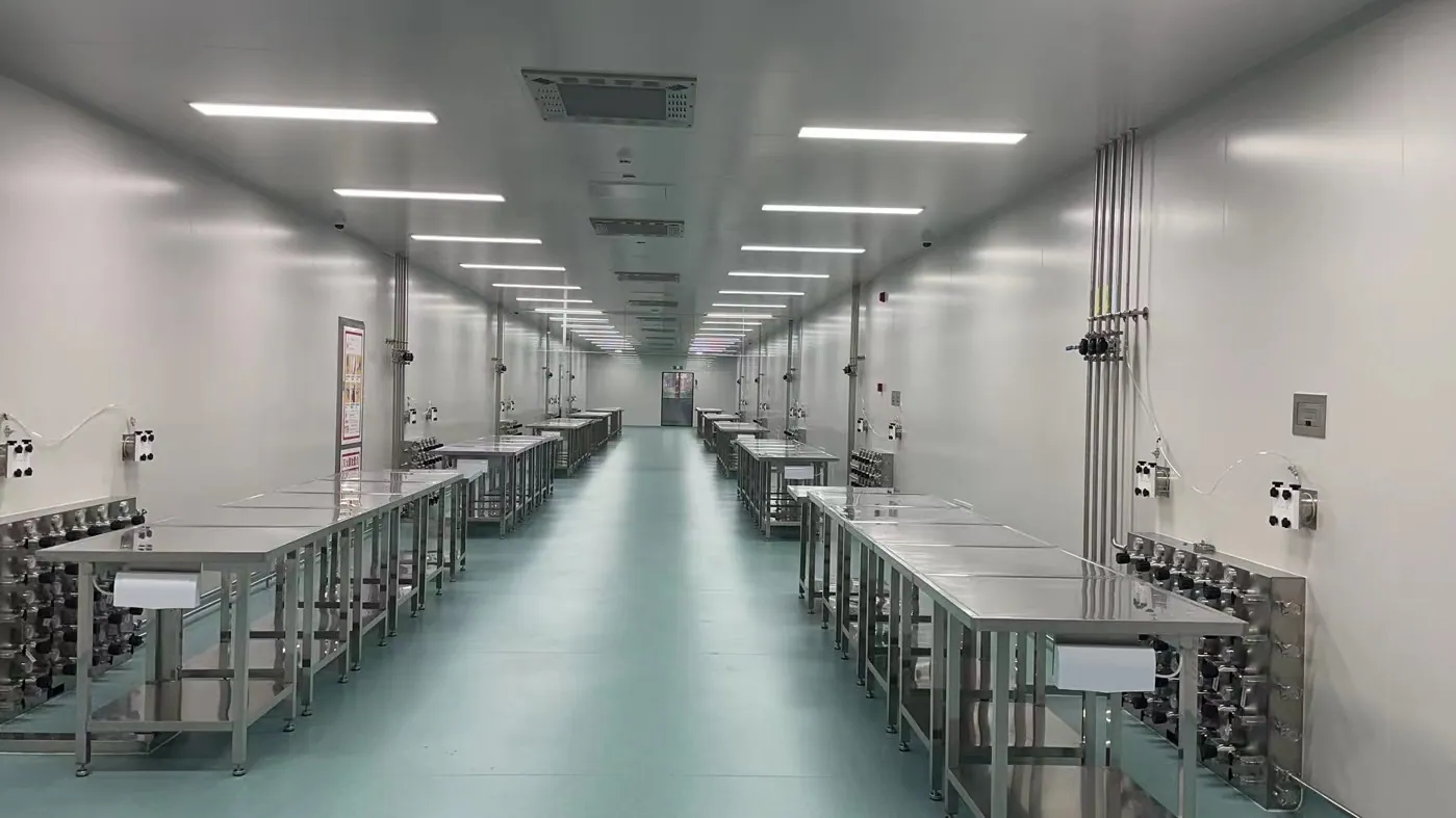 Stainless-steel laboratory bench and gas-service connections in a biopharma project